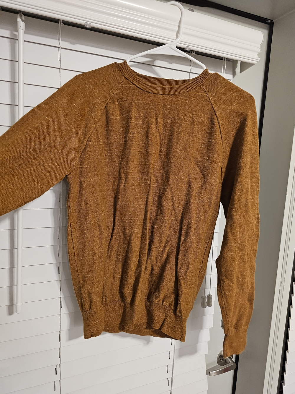 J. Crew Woman's Crewneck Sweater in Rust